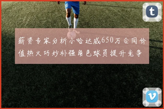 薪资专家分析小哈达威650万合同价值热火巧妙补强角色球员提升竞争力
